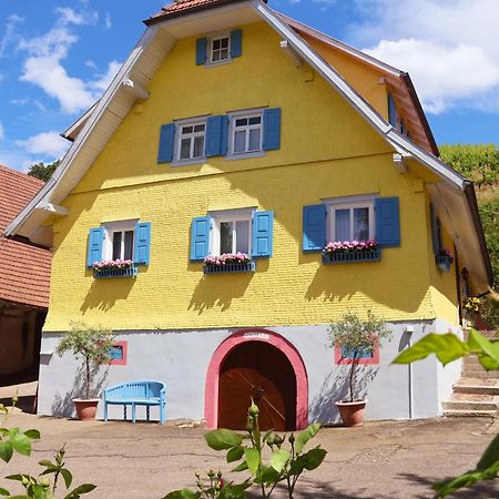 Winzerhof Maennle Apartment Oberkirch  Exterior photo