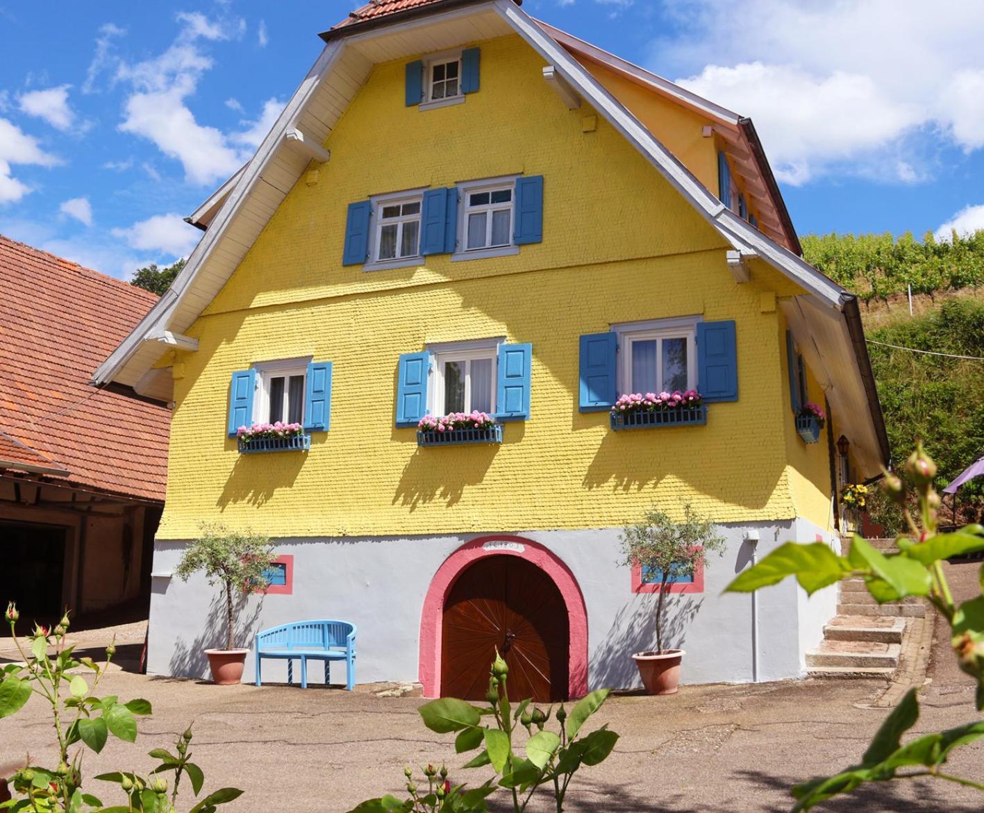 Winzerhof Maennle Apartment Oberkirch  Exterior photo